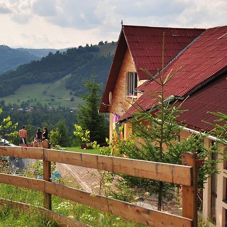 Kings Valley - Sunny Botesti Cîmpeni Habitación foto