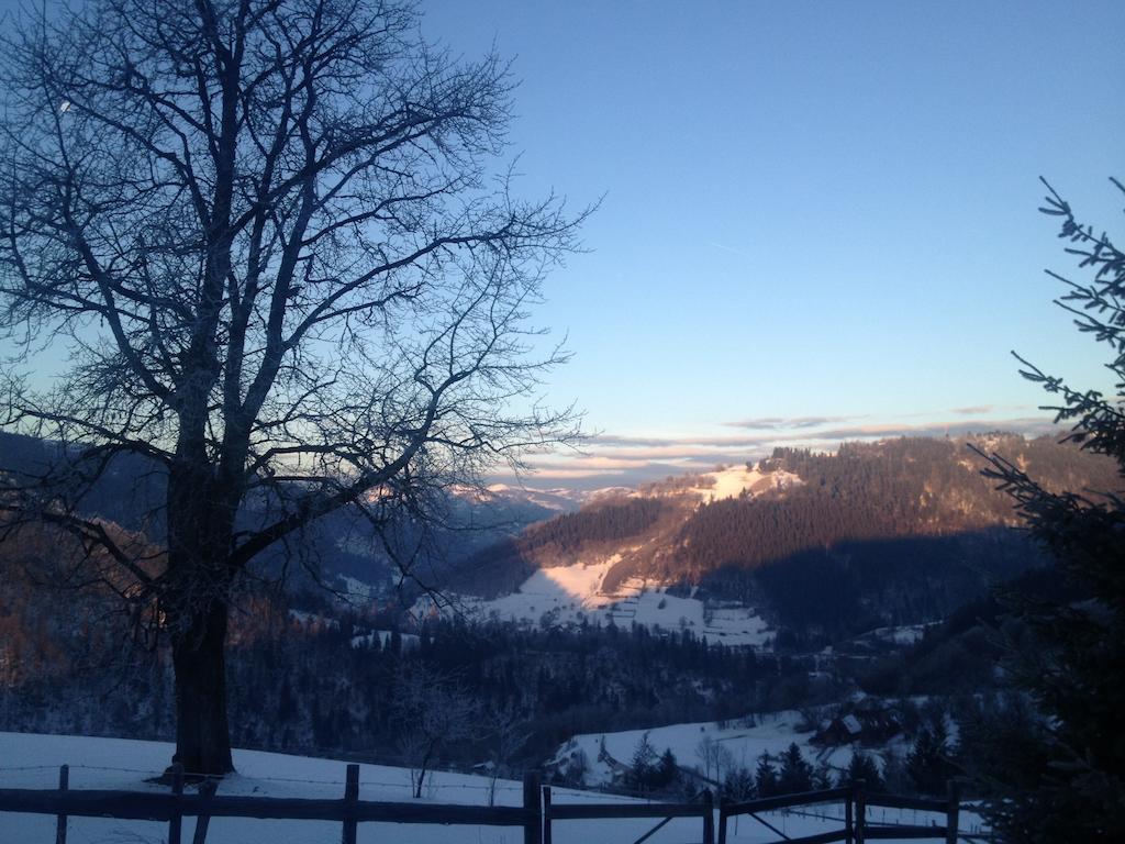 Kings Valley - Sunny Botesti Cîmpeni Exterior foto