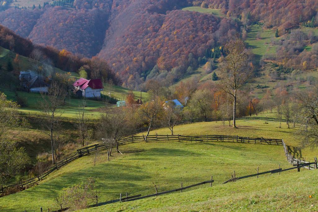 Kings Valley - Sunny Botesti Cîmpeni Exterior foto