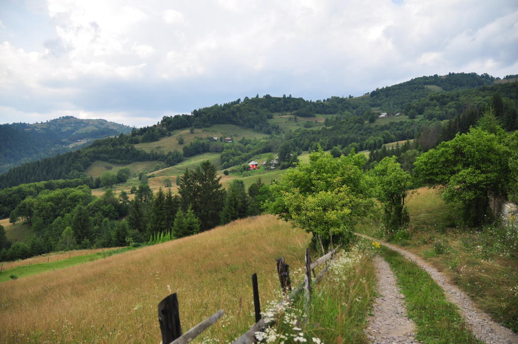 Kings Valley - Sunny Botesti Cîmpeni Exterior foto