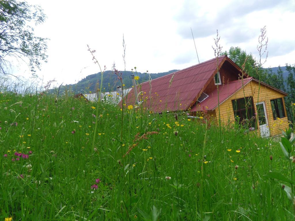 Kings Valley - Sunny Botesti Cîmpeni Exterior foto